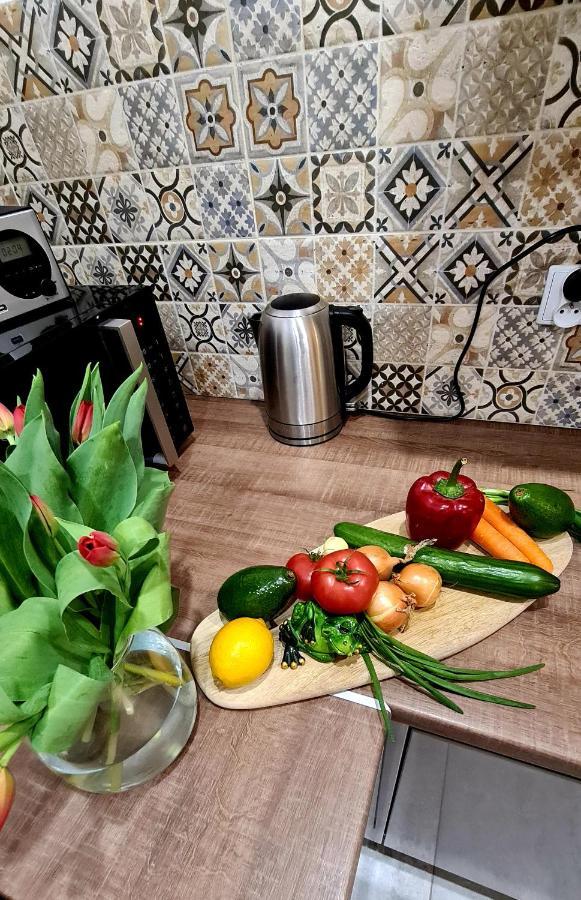Apartament Gawra Gustawa Ustrzyki Dolne Zewnętrze zdjęcie
